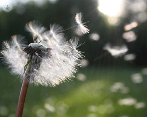 le-allergie-primaverili-i-sintomi-sulla-pelle immagine dell'articolo