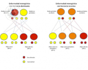 ho-un-anomalia-genetica-come-la-affronto immagine dell'articolo