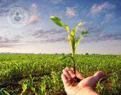 la-nutrizione-ortomolecolare-che-cos-e immagine dell'articolo