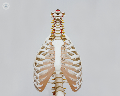 cos-e-il-pectus-excavatum-e-che-sintomi-presenta immagine dell'articolo
