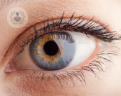 I glaucomi oculari: tipologie, diagnosi e terapie