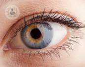 i-glaucomi-oculari-tipologie-diagnosi-e-terapie immagine dell'articolo