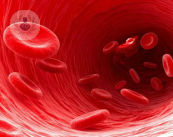 l-embolia-e-la-sua-prevenzione immagine dell'articolo
