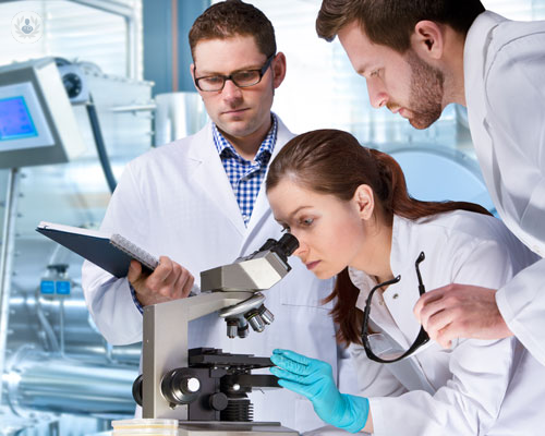 i-progressi-del-trattamento-per-lesioni-cerebrali-e-midollo-spinale immagine dell'articolo