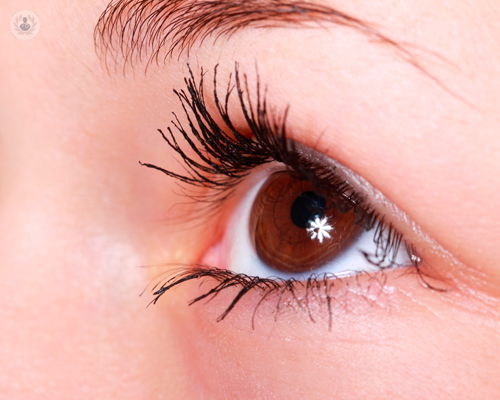 sintomi-e-trattamento-per-la-cornea-guttata immagine dell'articolo