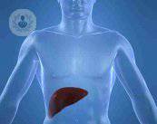 i-sintomi-piu-frequenti-del-cancro-al-fegato immagine dell'articolo