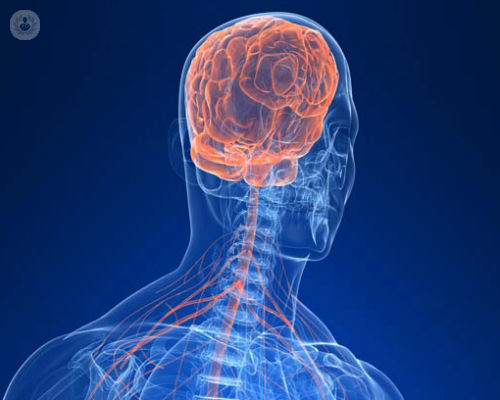 fibromialgia-o-sindrome-da-sensibilita-centrale-parte-2 immagine dell'articolo