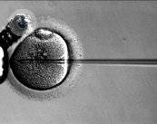 infertilita-l-importanza-di-una-diagnosi-accurata-e-di-un-trattamento-efficace-per-la-sua-cura immagine dell'articolo