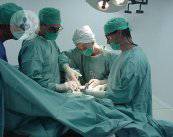 la-chirurgia-endoscopica-naso-sinusale-e-utile-per-una-rapida-guarigione immagine dell'articolo