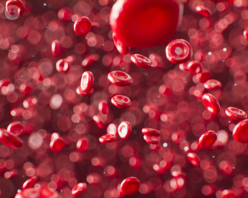 che-cos-e-il-plasma-ricco-di-piastrine-prp immagine dell'articolo