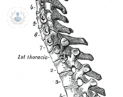 cos-e-e-come-si-diagnostica-l-ernia-discale-cervicale immagine dell'articolo