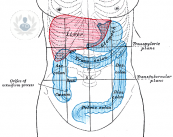 il-cancro-del-colon-come-si-presentano-i-sintomi immagine dell'articolo