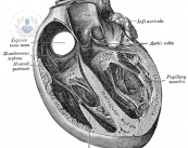 conosci-la-cura-ideale-per-l-aritmia immagine dell'articolo