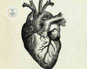 carotidi-definizione-trattamento-e-terapia immagine dell'articolo