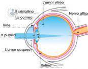 la-parola-glaucoma-dovrebbe-spaventarci immagine dell'articolo