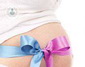 le-domande-frequenti-sull-inseminazione-artificiale immagine dell'articolo