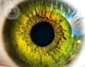 Perché avviene il distacco della retina?