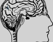 biofeedback-il-controllo-del-cervello immagine dell'articolo