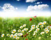 aria-di-primavera-i-disturbi-respiratori-della-bella-stagione immagine dell'articolo
