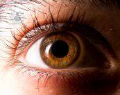 terapie-efficaci-per-curare-il-glaucoma-e-prevenire-la-cecita immagine dell'articolo