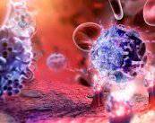 allergia-o-immunodeficienza-qual-e-la-differenza immagine dell'articolo