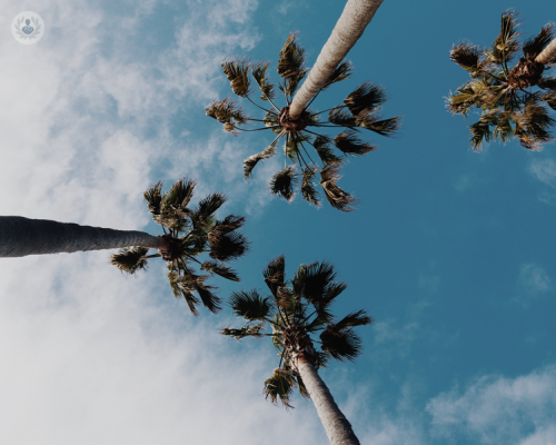 la-salute-in-valigia-prevenire-le-malattie-tropicali immagine dell'articolo