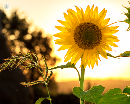 malattie-dermatologiche-perche-assumere-vitamina-d immagine dell'articolo