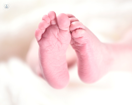 criptorchidismo-ne-soffre-il-3-dei-bambini immagine dell'articolo