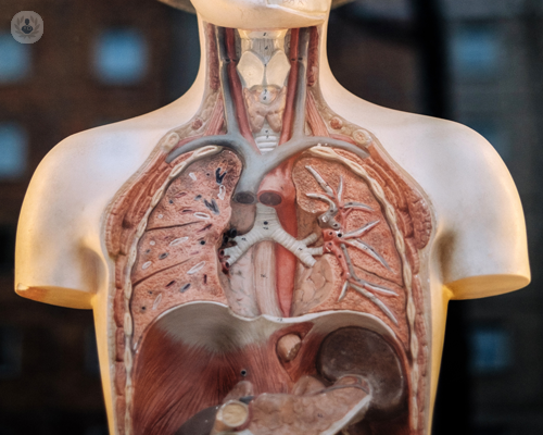 terapia-dell-ipertensione-arteriosa-polmonare immagine dell'articolo