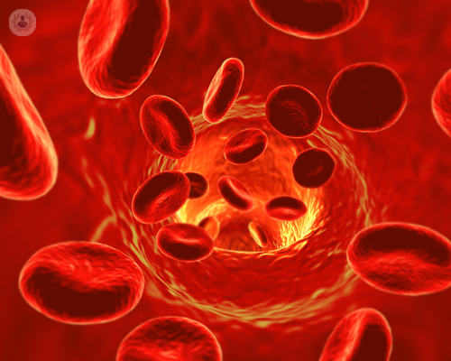 chirurgia-vascolare-l-ecocolordoppler-e-un-esame-fondamentale immagine dell'articolo