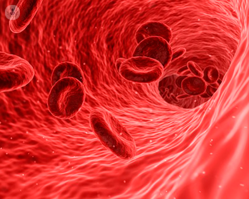 prevenire-e-curare-la-cardiopatia-ischemica immagine dell'articolo
