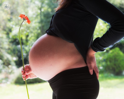 gravidanza-e-mal-di-schiena-perche-si-manifesta immagine dell'articolo