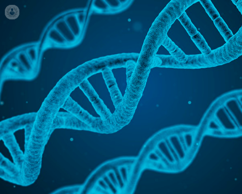 ipercolesterolemia-familiare-quando-la-causa-risiede-nel-dna immagine dell'articolo