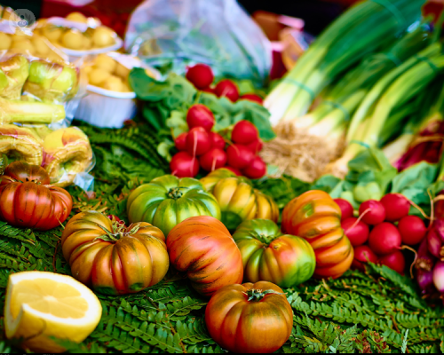 quanto-e-importante-l-alimentazione-per-prevenire-le-malattie immagine dell'articolo