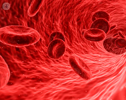 emocromatosi-ereditaria-cause-e-cure immagine dell'articolo
