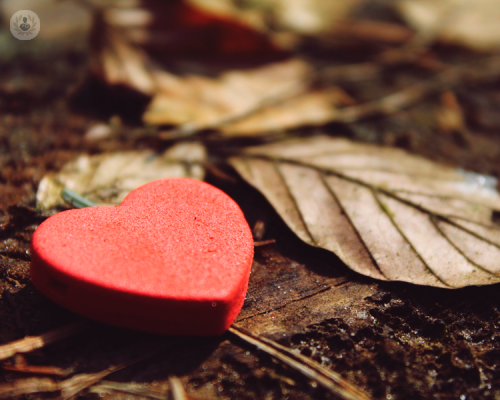 chirurgia-mininvasiva-quali-sono-i-vantaggi-in-cardiochirurgia immagine dell'articolo