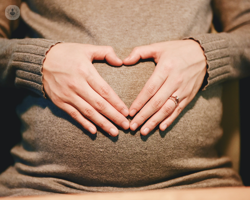 utero-ricevente-e-microbiota-uterino immagine dell'articolo