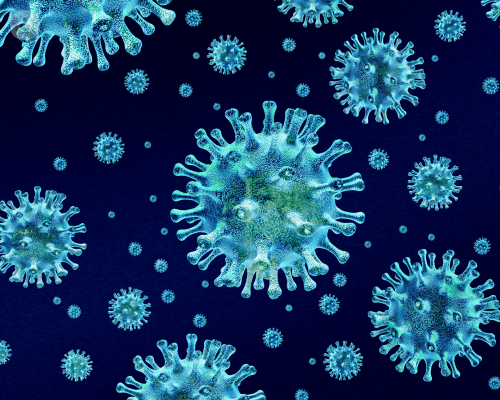 Cosa si sa del Coronavirus?
