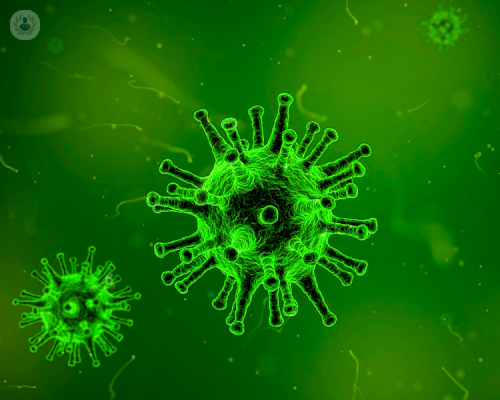 immunoterapia-cosa-c-e-da-sapere immagine dell'articolo