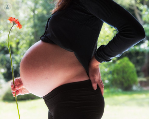 Mal di schiena durante la gravidanza: cosa NON devi fare?