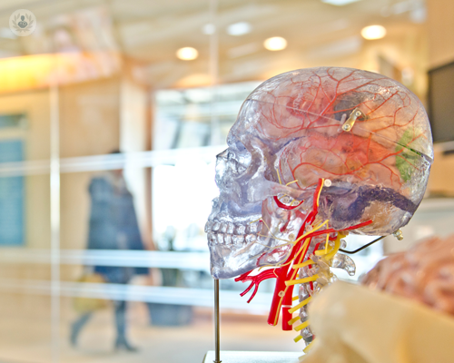 chirurgia-endoscopica-transnasale-della-base-cranica-che-cos-e-e-quando-e-indicata immagine dell'articolo