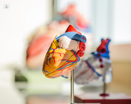cardiopatia-ischemica-la-malattia-dei-paesi-sviluppati immagine dell'articolo