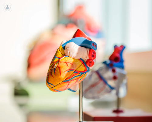 Che cos’è la stenosi valvolare aortica? 