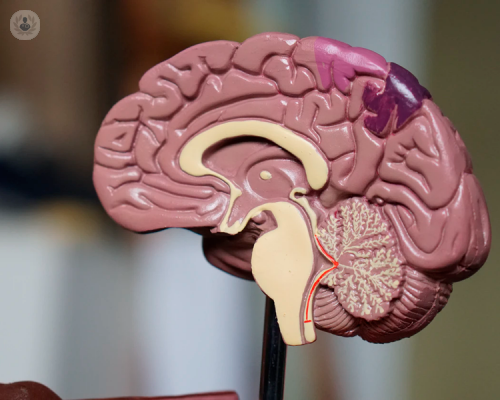 le-neuroscienze-e-la-clinica-psichiatrica immagine dell'articolo