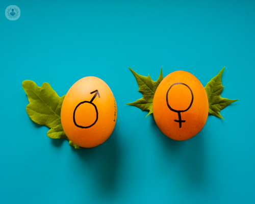 identita-di-genere-liberiamoci-dai-paletti-del-sesso-biologico immagine dell'articolo