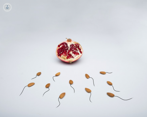 riproduzione-assistita-quando-l-attesa-diventa-finalmente-dolce immagine dell'articolo