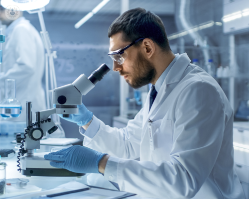 le-novita-sul-trapianto-di-cellule-staminali-per-la-sclerosi-multipla immagine dell'articolo
