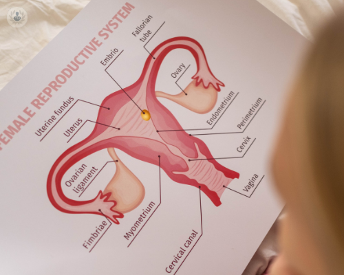 mioma-uterino-sai-davvero-che-cos-e immagine dell'articolo