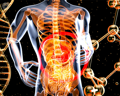 tumore-al-fegato-diagnosi-terapia-e-controlli immagine dell'articolo