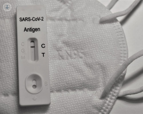 sars-cov-2 immagine dell'articolo